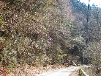 林道菱山深沢線