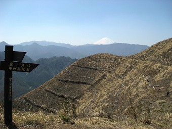 富士見台分岐から