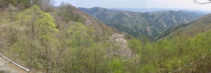 蕨山～藤棚山～金比羅尾根