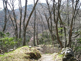 日向沢ノ峰へ