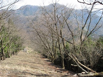 川苔山