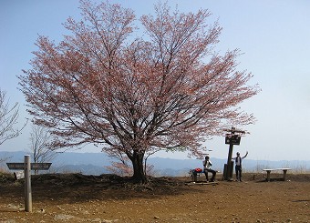 棒ノ折山