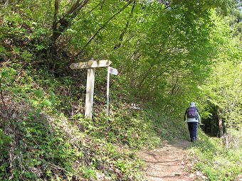 坪山　東・西コース分岐