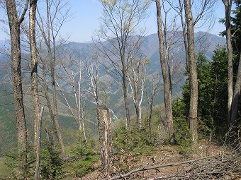 三頭山方面