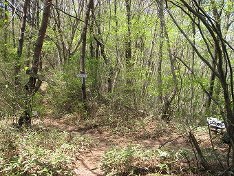 西原峠・佐野峠・ピーク巻き道分岐