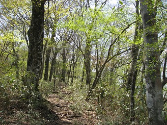 菰釣山