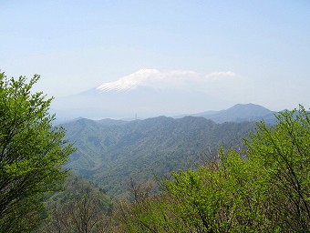 富士山