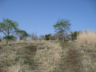 高指山