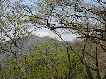 富士山見ながら