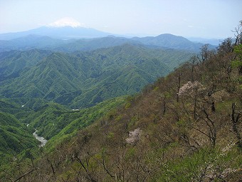 富士山