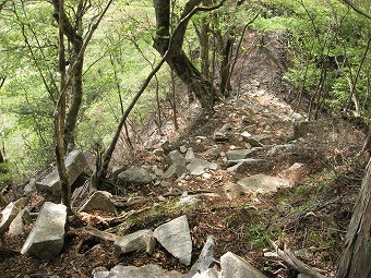 板小屋沢ノ頭へ