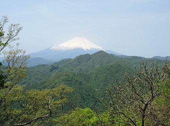 富士山