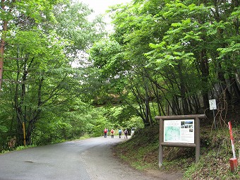 西沢渓谷　案内板