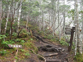 稜線合流点