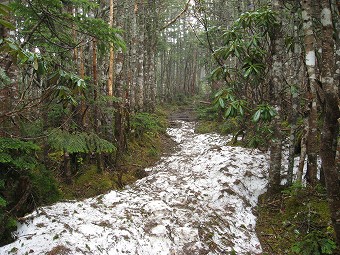 残雪あり