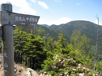 大山山頂