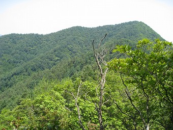 堂尾山分岐ピーク