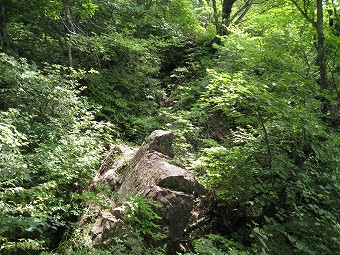 倉見山～杓子山へ