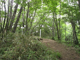 ハマイバ丸　山頂