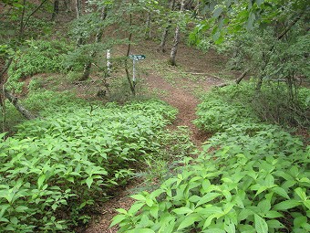 米背負峠