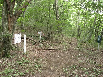 曲り沢峠