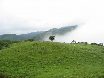 湯ノ沢峠　草原