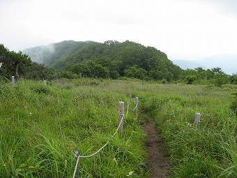 大蔵高丸の草原