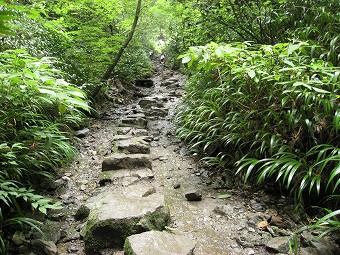 飛び石沢