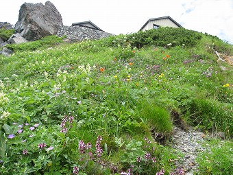 白馬岳頂上宿舎