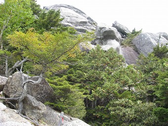 大日岩