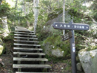 夢の庭園　分岐