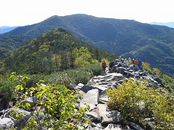 国師ヶ岳方面