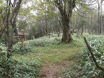 雁峠小屋　分岐