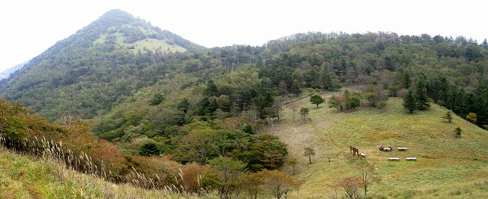 笠取山と雁峠