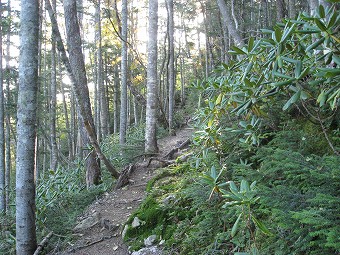 木賊山は巻く