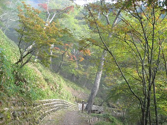 水場道分岐