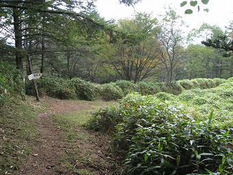 山ノ神土