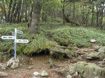 飛竜山頂分岐