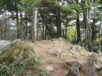 飛竜山