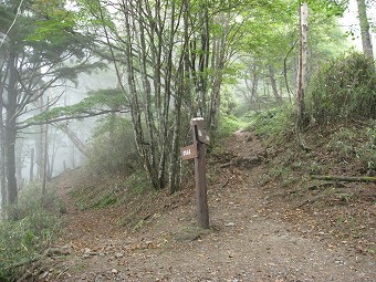 雲取山　西側の巻き道