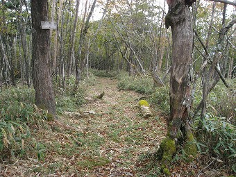 黒槐山から東へ二つ目