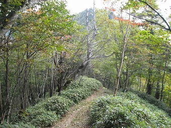 唐松尾山へ