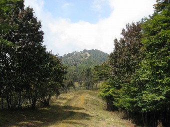 振り返り見る鷹ノ巣山