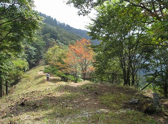 ほんのり色づく石尾根