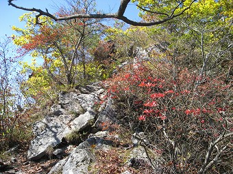 金ヶ岳へ