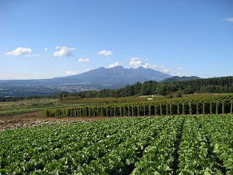 八ヶ岳