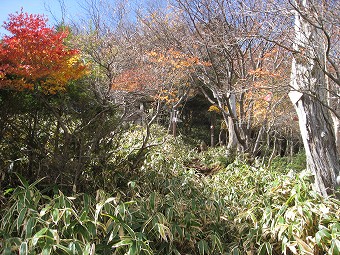 赤薙山　巻き道