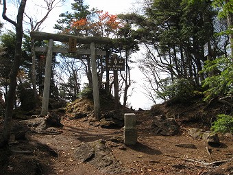 赤薙山　山頂