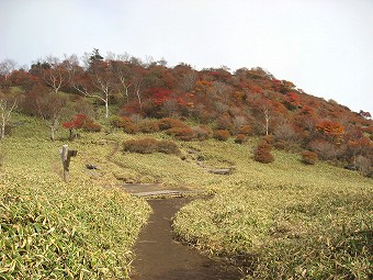 遊歩道