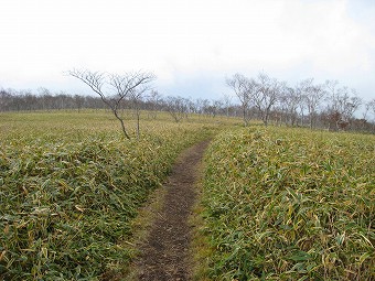 八平ヶ原